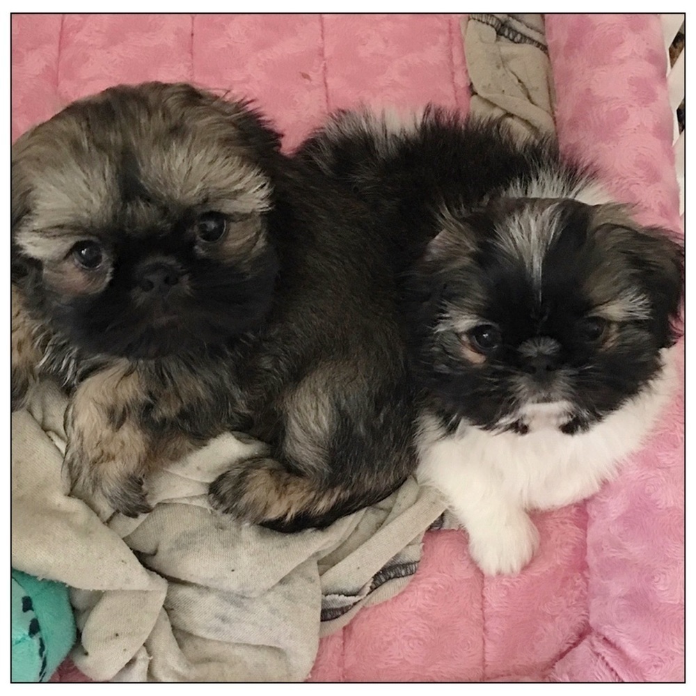 Sisters Anastasia & Felicity